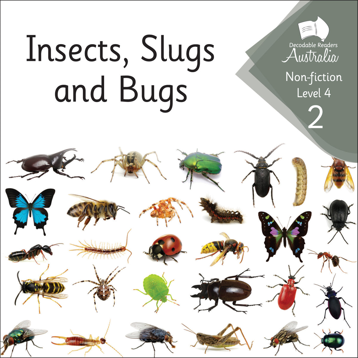 Nonfiction Level 4 - Classroom Guided Reading Set (6 sets) – Decodable ...