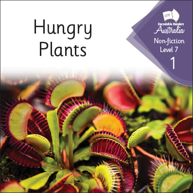Nonfiction Level 7 - Individual Set – Decodable Readers Australia